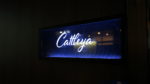 大人の社交場 CounterBarCattleya(カウンター バー カトレア)