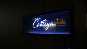 大人の社交場 CounterBarCattleya(カウンター バー カトレア)