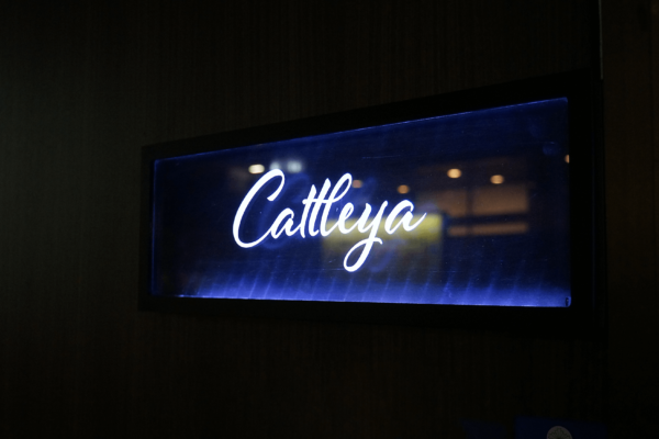 大人の社交場 CounterBarCattleya(カウンター バー カトレア)