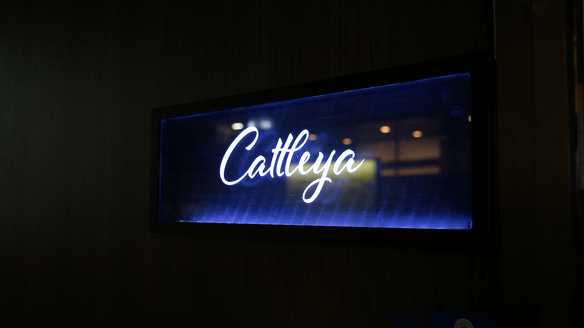 4周年のご挨拶 Counter Bar Cattleya